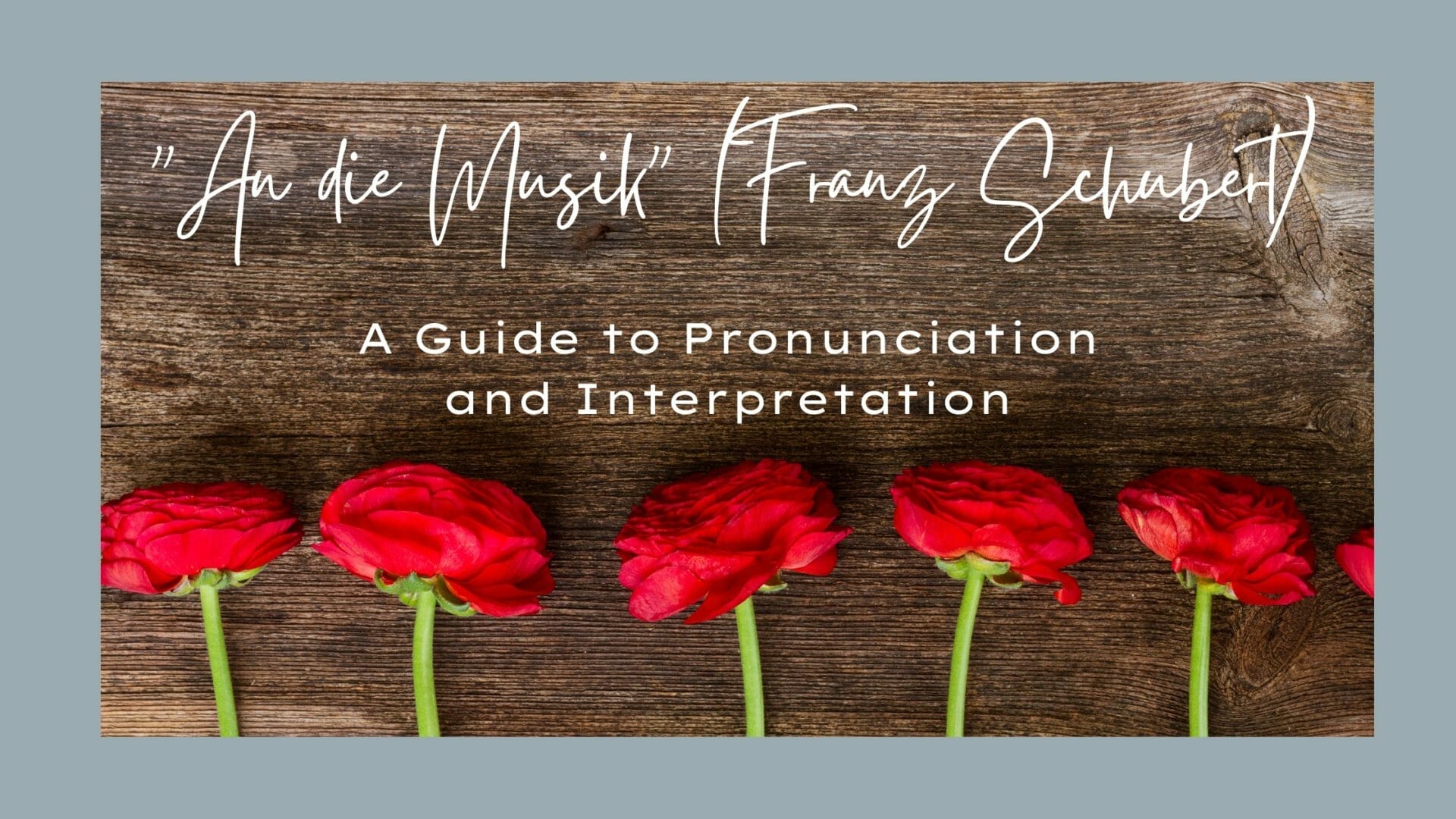 Translation, pronunciation guide, test analysis "An die Musik"